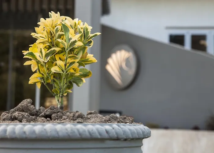 Отель Kriamos Blue Фалираки