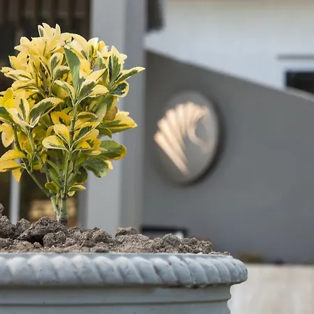 Hotel Kriamos Blue Faliraki